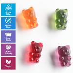 Sugar-Free Vegan Gummy Bears - Assorted Fruit Pack