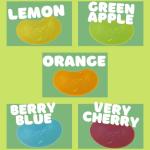 Needzo Jumbo Vegan Jelly Bean Gummy Candy