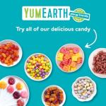 YumEarth Organic Fruit Lollipops Variety Pack