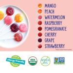 YumEarth Organic Vegan Lollipop Variety Pack 60ct