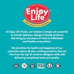 Enjoy Life Vegan Dark Chocolate Morsels, 9 oz