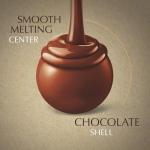 Lindt LINDOR Assorted Vegan Chocolate Truffles 15.2 oz