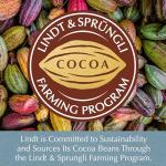 Lindt Non-Dairy OatMilk Chocolate Bar 10-Pack