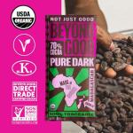 Beyond Good Organic Madagascar Dark Chocolate Bar 2.64oz