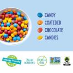 YumEarth Choco Yums Vegan Chocolate Candy Pack