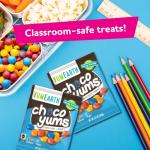 YumEarth Choco Yums Vegan Chocolate Candy Pack