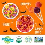 YumEarth Vegan Halloween Candy Variety Pack