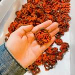 Chocolatey Sprinkle Pretzel Bites - Vegan Treats