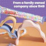 Vegan Fruit Flavor Smarties Candy Necklace - 24 Count