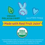 Annie's Organic Fruit Tape Variety Pack - 12 Rolls