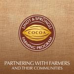 Lindt 70% Cocoa Dark Chocolate Candy Bar