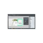 Photo & Graphic Designer – Version 15 – graphic design, image editing and illustration in a single software solution [Download]