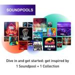 MUSIC MAKER 2023 Plus - Make the music you love I audio software I music program I Windows 10 / 11 I 1 PC download licence | PC Activation Code by email