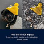 Corel PaintShop Pro 2023 | Photo editing and graphic design software + a creative collection | Features supported by AI | Ultimate | 1 Device | 1 User | PC | Code [Delivery]