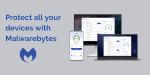 Malwarebytes | Windows/Mac/iOS/Android/Chrome | Premium + Privacy VPN | 4 Devices | 12 Months | Activation Code by email