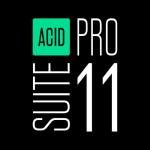 ACID Pro 11 Suite - The creative DAW | Audio Software | Music Programfor Windows 10/11 PCs | 1 download licence | PC Activation Code by email