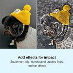 Corel PaintShop Pro Standard, Photo Editing & Graphic Design, Digital download