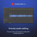 VEGAS Pro Suite 21 - Integrated video and audio editing tools for content creators | video editing software | video cutting software | video editor | Windows 10/11 PC | 1 license