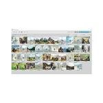 MAGIX Photo Premium - Version 2018 - Photo editing & slideshow software | Standard | PC | PC Activation Code by email