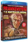 Frankenstein and The Monster from Hell (Frankenstein Y EL MONSTRUO DEL INFIERNO, Spain Import, See Details for Languages)