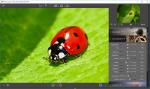 InPixio Photo Maximizer 4 [Download]
