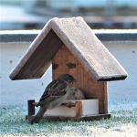 Wooden Bird Feeder 'Huis' for Garden, Patio and Balcony – Durable Outdoor Bird Feeding Station with Moisture Protection – Decorative Bird House Feeder with Bird Seeds Included