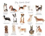 Personalised Dog Sympathy Card Loss of Dog Card, Breed of Your Choice, Watercolour Pet Sympathy Cards Dog Remembrance, Custom Pet Memorial Cards, Sorry for Your Loss Cards Pet, Name of Your Choice