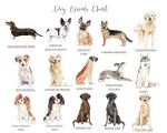 Personalised Dog Sympathy Card Loss of Dog Card, Breed of Your Choice, Watercolour Pet Sympathy Cards Dog Remembrance, Custom Pet Memorial Cards, Sorry for Your Loss Cards Pet, Name of Your Choice
