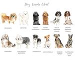 Personalised Dog Sympathy Card Loss of Dog Card, Breed of Your Choice, Watercolour Pet Sympathy Cards Dog Remembrance, Custom Pet Memorial Cards, Sorry for Your Loss Cards Pet, Name of Your Choice