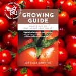 Heirloom Tomato Seed Kit, 10 Heirloom Seed Varieties Included in This Grow Your Own Tomato Kit, The Little Trees Bees and Seeds Company