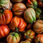 Heirloom Tomato Seed Kit, 10 Heirloom Seed Varieties Included in This Grow Your Own Tomato Kit, The Little Trees Bees and Seeds Company