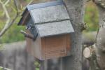 Bird House Nesting Bird Box - 25mm Hole - Blue tits