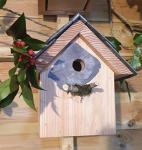 Bird House Nesting Bird Box - 25mm Hole - Blue tits