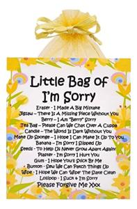Little Bag of I’m Sorry ~ A unique and meaningful way to apologise ! | Perfect gift to apologise and say I'm sorry | Sorry Card & Gift | Apology Gifts
