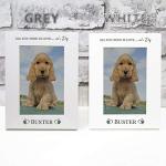 Personalised Dog Photo Frame