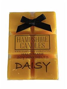 Daisy Wax Melts | Perfume Inspired Soy Wax Melts | Highly Scented | Handmade (Approx 80g)