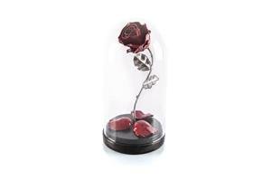 Forging Art Bcn® Hand Forged Enchanted Rose in Beauty and the Beast Glass Dome - Gift of Valentine's Day, Mother's Day, 6th Year Wedding Anniversary (Red/Silver)