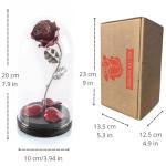 Forging Art Bcn® Hand Forged Enchanted Rose in Beauty and the Beast Glass Dome - Gift of Valentine's Day, Mother's Day, 6th Year Wedding Anniversary (Red/Silver)