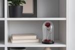 Forging Art Bcn® Hand Forged Enchanted Rose in Beauty and the Beast Glass Dome - Gift of Valentine's Day, Mother's Day, 6th Year Wedding Anniversary (Red/Silver)
