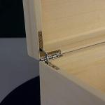 Personalised cat memorial box. Engraved wooden pet cat memory box