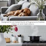 BLACK OPIUM Handmade Highly Scented Room Spray Mist Air Freshener for Home