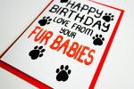 Birthday Card Love From Your Fur Babies, From The Pets, Dogs, Cats, Bunny Rabbits, Pawsome Animals