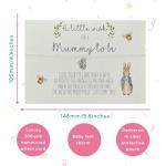 Mummy to Be Wish Bracelet | Peter Rabbit | Perfect Baby Shower gift | New mum Gift | Mummy Gift | Charm Bracelet