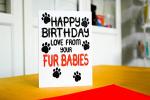 Birthday Card Love From Your Fur Babies, From The Pets, Dogs, Cats, Bunny Rabbits, Pawsome Animals