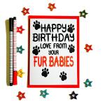 Birthday Card Love From Your Fur Babies, From The Pets, Dogs, Cats, Bunny Rabbits, Pawsome Animals