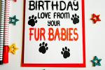 Birthday Card Love From Your Fur Babies, From The Pets, Dogs, Cats, Bunny Rabbits, Pawsome Animals