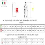 Elegant skull walking stick for men and women | Made in Italy collectible walking stick, dandy, luxury gentleman | Handcrafted by CAVAGNINI