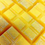 Pack of 5 Luxury Perfume Scent Wax Melts - 22g Snap Bars Handmade for an Exquisite Home Fragrance