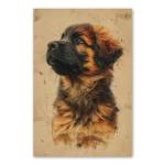 Estrela Mountain Dog Painted Illustration Art Print - Canine Portrait, Vibrant Detailing, Home Decor, Pet Lovers, Collectible Art