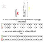 Elegant derby walking stick for men and women | Collectible walking stick made in Italy, a dandy luxury piece, a one-of-a-kind | Cavagnini artisanal